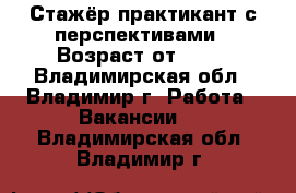 Стажёр-практикант с перспективами › Возраст от ­ 18 - Владимирская обл., Владимир г. Работа » Вакансии   . Владимирская обл.,Владимир г.